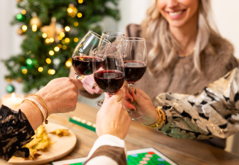 Amigos brindando con vino tinto y jugando un juego de mesa junto al árbol de Navidad en Hof van Salland, NL.