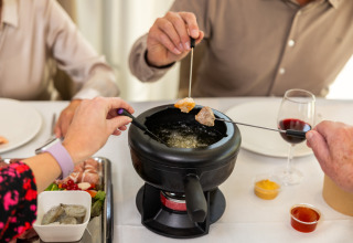 Personas disfrutan de fondue con carne y verduras en Wellness Lodge XL, Hof van Salland, Países Bajos.