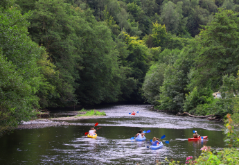 Menschen paddeln in bunten Kajaks auf einem Fluss neben einem Glampingplatz, umgeben von grünem Wald.