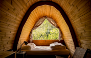 Cozy wooden pod interior with bed by a large window overlooking trees at RØSTIG Dorst, Netherlands.