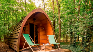 Duo Pod Large cabin at RØSTIG Dorst, Netherlands, nestled in the forest with two green outdoor chairs.