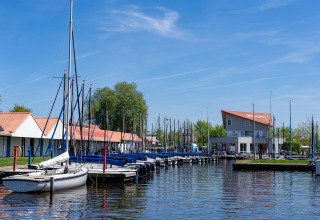 Boats docked at Marina Heeg in the Netherlands under blue skies near Safari tent Heeg viewpoint.
