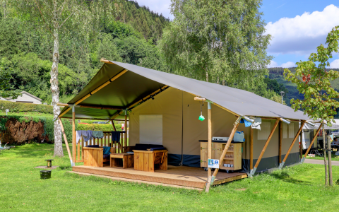 Eco Lodge MOBIWOOD en Camping Floreal La Roche-en-Ardenne, Bélgica, rodeada de árboles y naturaleza verde.