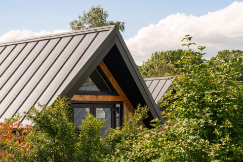 Wellness Lodge tiny house bij Holiday Park De IJsvogel in Nederland, omgeven door groene natuur.