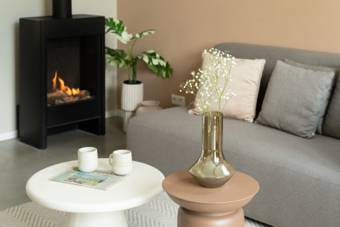 Cozy living room at Wellness Lodge, De IJsvogel, with sofa, fireplace, plants, vases, and coffee table.