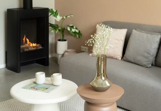 Gezellige woonkamer in Wellness Lodge bij De IJsvogel met bank, haard, planten en decoratieve tafels.