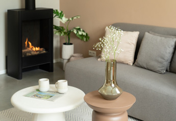 Gezellige woonkamer in Wellness Lodge bij De IJsvogel met bank, haard, planten en decoratieve tafels.