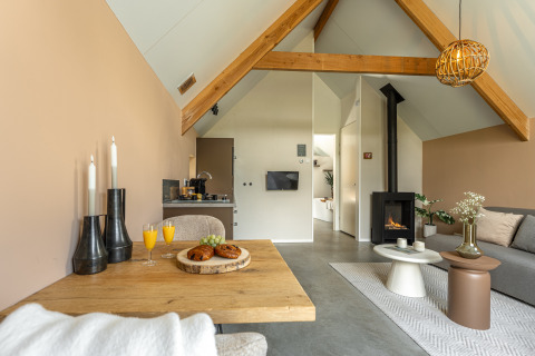 Accogliente soggiorno di tiny house Wellness Lodge al Holiday Park De IJsvogel, con travi a vista e camino.