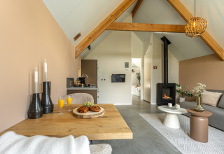 Accogliente soggiorno di tiny house Wellness Lodge al Holiday Park De IJsvogel, con travi a vista e camino.