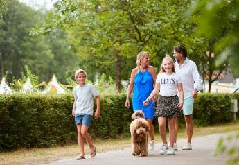 Familie går tur med deres hund på en sti ved et glampingsted med telte og grønne træer i baggrunden.