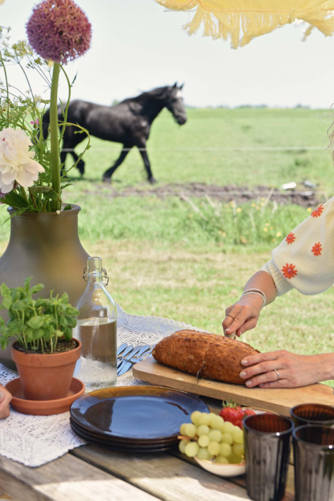 Buiten picknick op houten tafel met brood, druiven, kruiden en een zwart paard op de groene wei.
