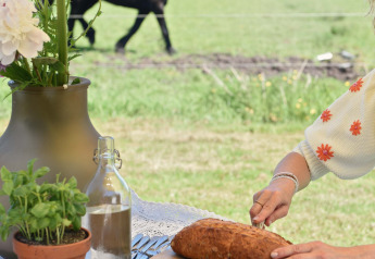 Buiten picknick op houten tafel met brood, druiven, kruiden en een zwart paard op de groene wei.