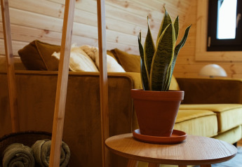 Interno di una glamping pod da REBL Outdoor con pareti in legno, pianta in vaso, tavolo e divano giallo.