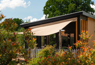 Tiny House Sand Lodge op Holiday Park De IJsvogel in Nederland, omringd door planten en bomen.