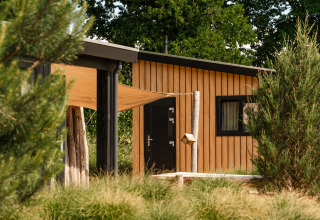 Tiny house Sand Lodge au Holiday Park De IJsvogel aux Pays-Bas, entourée de verdure et d’arbres.