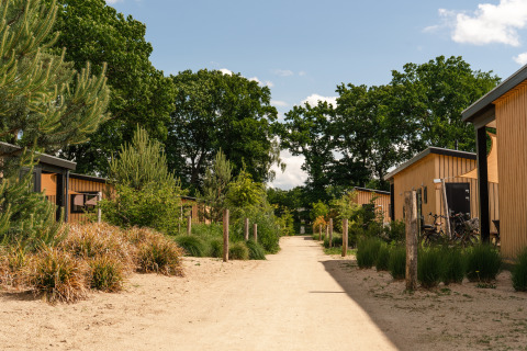 Sendero entre pequeñas casas de madera y vegetación en Sand Lodge, Holiday Park De IJsvogel, Países Bajos.