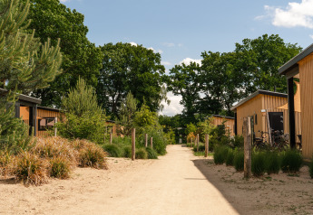 Pathway lined with tiny wooden houses and greenery at Sand Lodge in Holiday Park De IJsvogel, Netherlands.