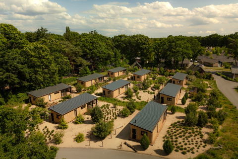 Vista aerea di diverse tiny house in un'area paesaggistica circondata da alberi e sentieri verdi.