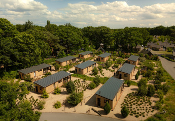 Aerial view of several tiny houses arranged in a landscaped area surrounded by lush green trees and paths.