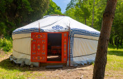 Et traditionelt mongolsk yurt-telt med smukt dekoreret dør, omgivet af grønne træer og natur.