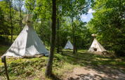 Tipi-telte uden toiletter i grøn skov ved Camping Des Randonneurs, Frankrig, med sollys og skygge.