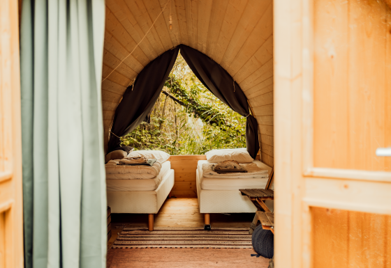 Vista interna di un Premium - Duo Panorama Pod con due letti singoli e ampie finestre sulla natura.