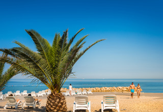 Palmera y tumbonas junto al mar en una playa de guijarros en Aminess Planet Camping Maravea Resort, en Istria, Croacia.