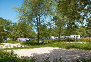 Vista del campeggio Aminess Planet Camping Maravea Resort in Istria, Croazia, con tende e roulotte tra gli alberi.
