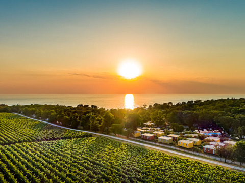 Zonsondergang boven wijngaarden, kleurrijke huisjes, groene bomen en de zee op de achtergrond, van bovenaf.