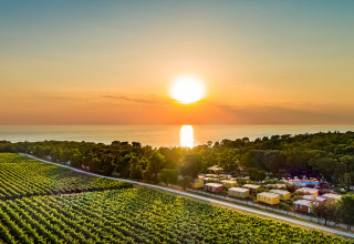 Zonsondergang boven wijngaarden, kleurrijke huisjes, groene bomen en de zee op de achtergrond, van bovenaf.