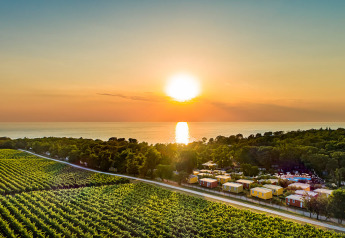 Tramonto su paesaggio costiero con vigneti, casette colorate, vegetazione rigogliosa e mare sullo sfondo.