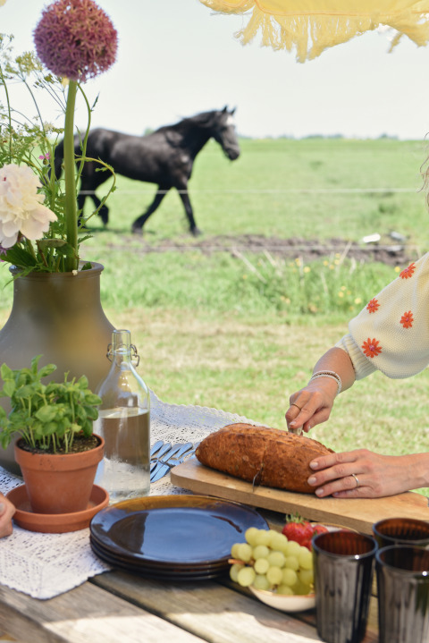 Buiten picknick bij Smûk Fjildhuske, Nederland, met vers brood, fruit, bloemen en een grazend zwart paard.