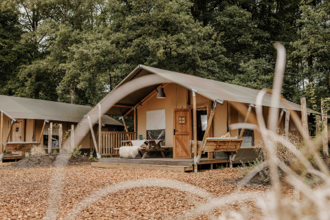 Tienda safari en Veluwepark de Bosgraaf, Países Bajos, rodeada de naturaleza y con terraza de madera.