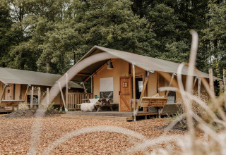 Safari telt ved Veluwepark de Bosgraaf i Holland med trædæk, bænk og natur omgivet af træer.