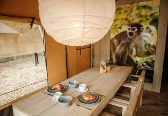 Interno di una tenda safari al Veluwepark de Bosgraaf con tavolo da colazione e grande poster di scimmia.