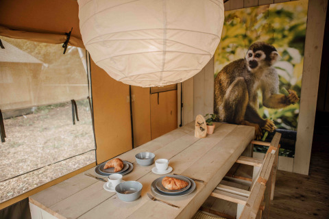 Indretning af en safaritelts spiseområde på Veluwepark de Bosgraaf med morgenmad og abe-plakat.
