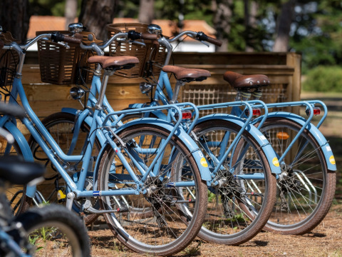Bicicletas azules con cestas aparcadas en Flower Camping Tamarins Plage en Nouvelle-Aquitaine, Francia.