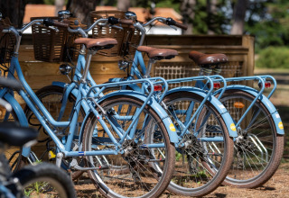 Bicicletas azules con cestas aparcadas en Flower Camping Tamarins Plage en Nouvelle-Aquitaine, Francia.