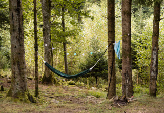 Hamac suspendu entre des arbres dans la forêt au Flower Camping La Sténiole, Grand Est, France.