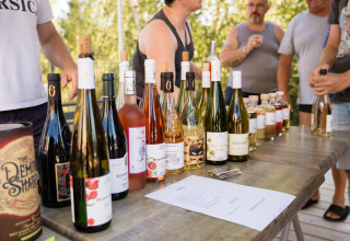 Cata de vinos al aire libre en Flower Camping La Sténiole, Francia, con varias botellas dispuestas en una mesa.
