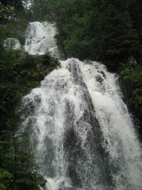 Cascada entre árboles verdes en Flower Camping La Sténiole, parque de vacaciones en Grand Est, Francia