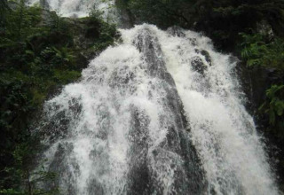 Cascada entre árboles verdes en Flower Camping La Sténiole, parque de vacaciones en Grand Est, Francia