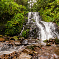 Smuk vandfald i frodig natur tæt på Granges-Aumontzey i Grand Est-regionen, Frankrig, omgivet af grønne planter.