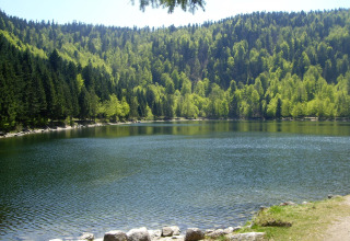 Calm lake surrounded by lush green forest near Granges-Aumontzey, Grand Est, France, on a sunny day.