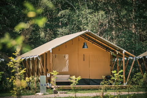 Safari telt midt i en skov, opstillet på en træplatform med elinstallationer foran og naturlig belysning.