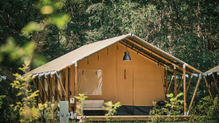 Safari telt midt i en skov, opstillet på en træplatform med elinstallationer foran og naturlig belysning.
