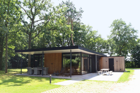 Forest Lodge Deluxe in een bosrijke omgeving, modern houten lodge met terras en grote raampartijen.