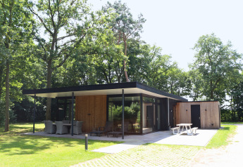 Forest Lodge Deluxe umgeben von Bäumen, modernes Ferienhaus mit großer Glasfront und Terrasse.