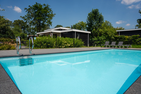 Buitenzwembad bij Oak lodge in Vakantiepark Hölte, Nederland, met ligbedden en groene omgeving.