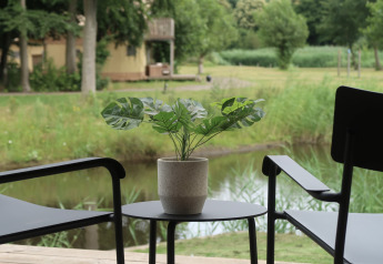 Zicht vanuit Wrap house lodge met sauna en bad bij Resort de Parel, Nederland; twee stoelen, plant.